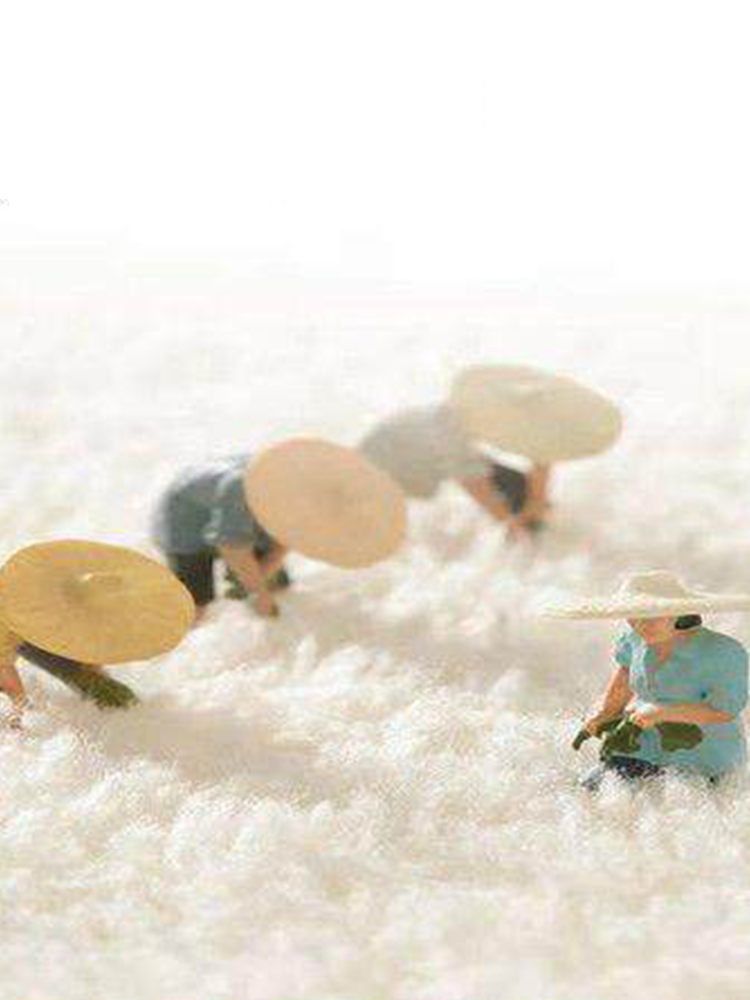 Elegant Vintage Round Rug Luxury Decorative Carpet